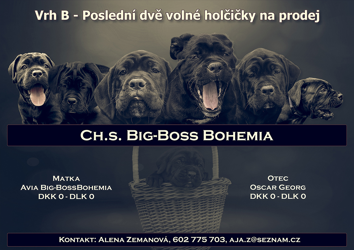 Leták Big-Boss Bohemia pro shop